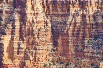 Fotobehang Canyon Gelaagde rotswanden Grand Canyon  © Jason Yoder