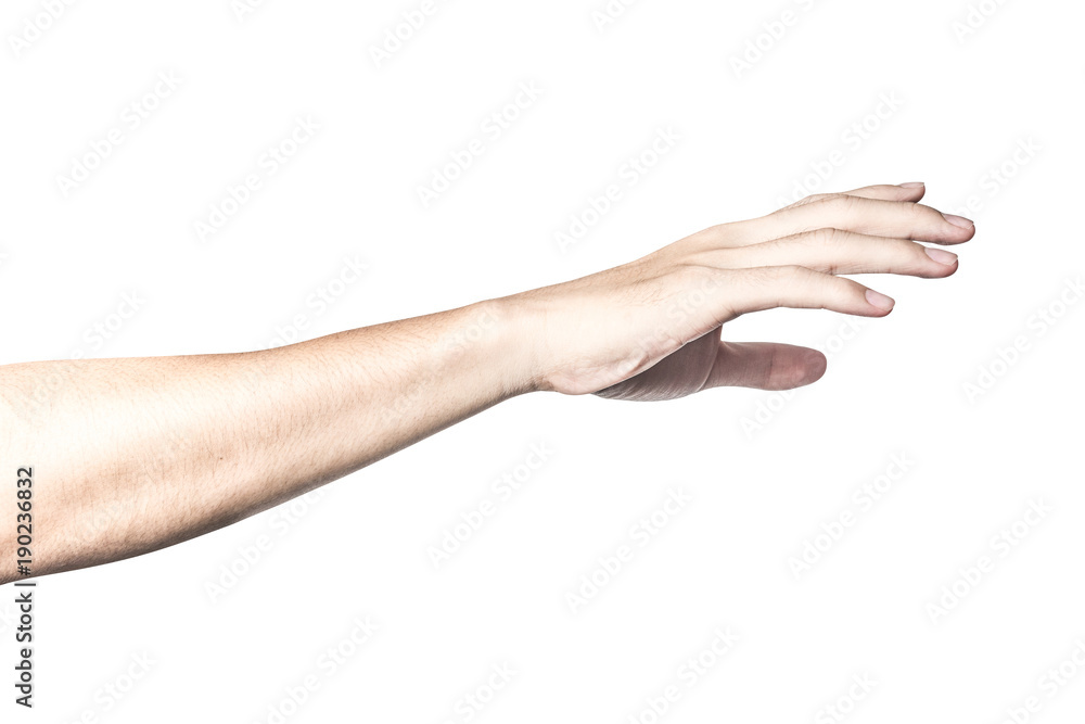 beautiful hand isolated on white background beautiful hand isolated on white background