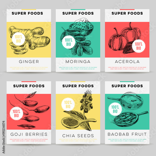 Beautiful vector hand drawn super foods card set.