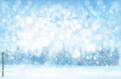 Vector  winter  snowy   forest background, snowfall,  blue, nature background. © rvika