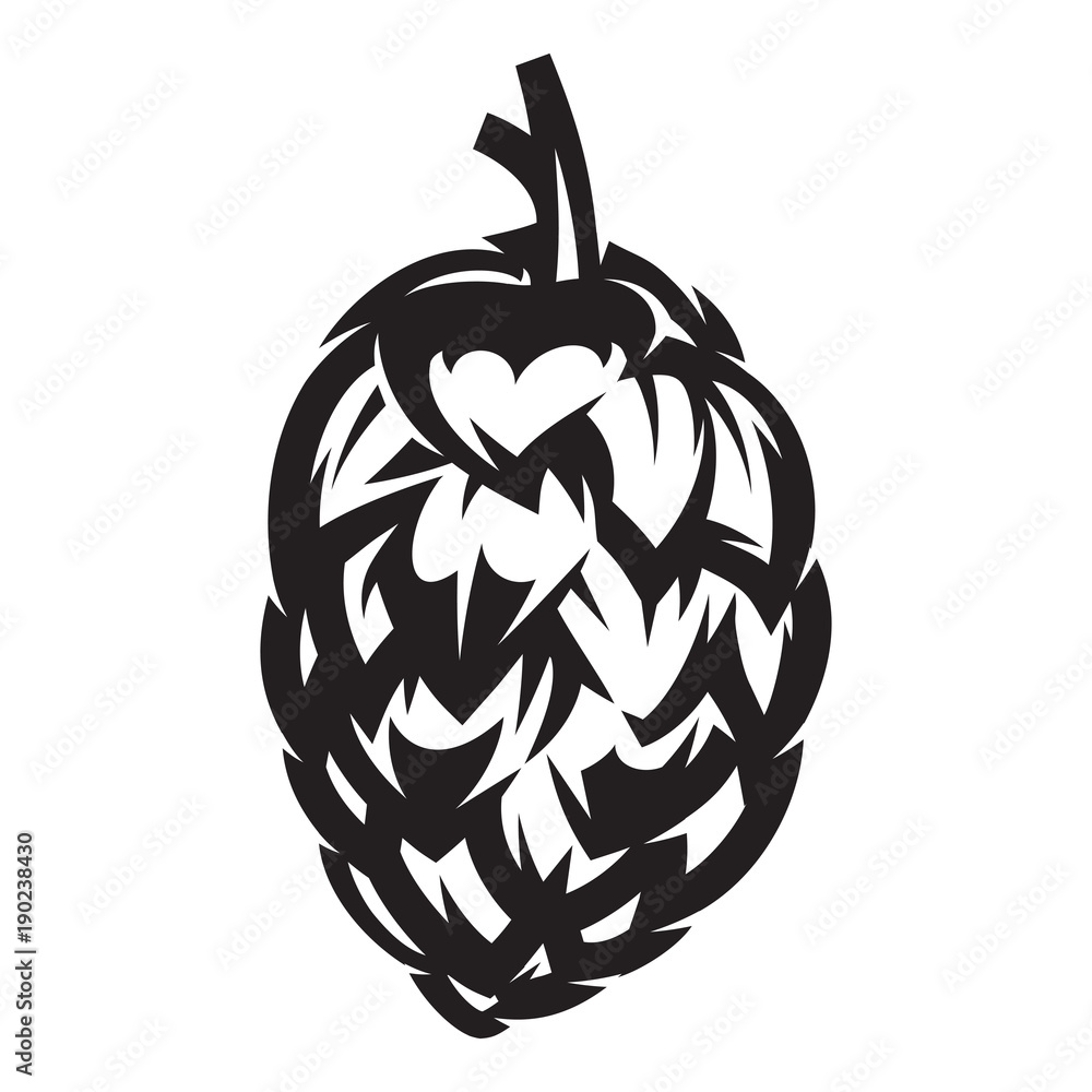 vector stylish illustration with hop kidney vector stylish illustration with hop kidney