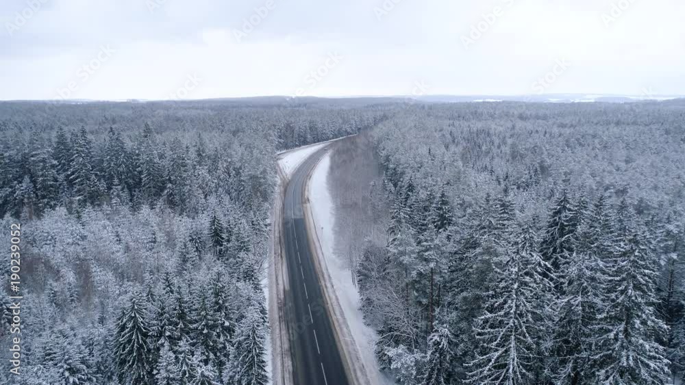 Winter snow covered forest aerial drone video pine tree white woods Belarus fly high road Winter snow covered forest aerial drone video pine tree white woods Belarus fly high road