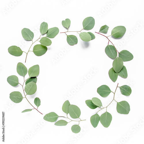 Round frame with branches eucalyptus populus and leaves isolated on white background. lay flat, top view