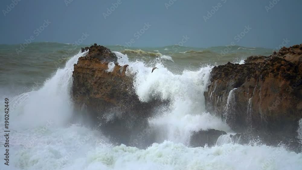 Stormy ocean sea waves foam floods seabird and cliffs nature Stormy ocean sea waves foam floods seabird and cliffs nature