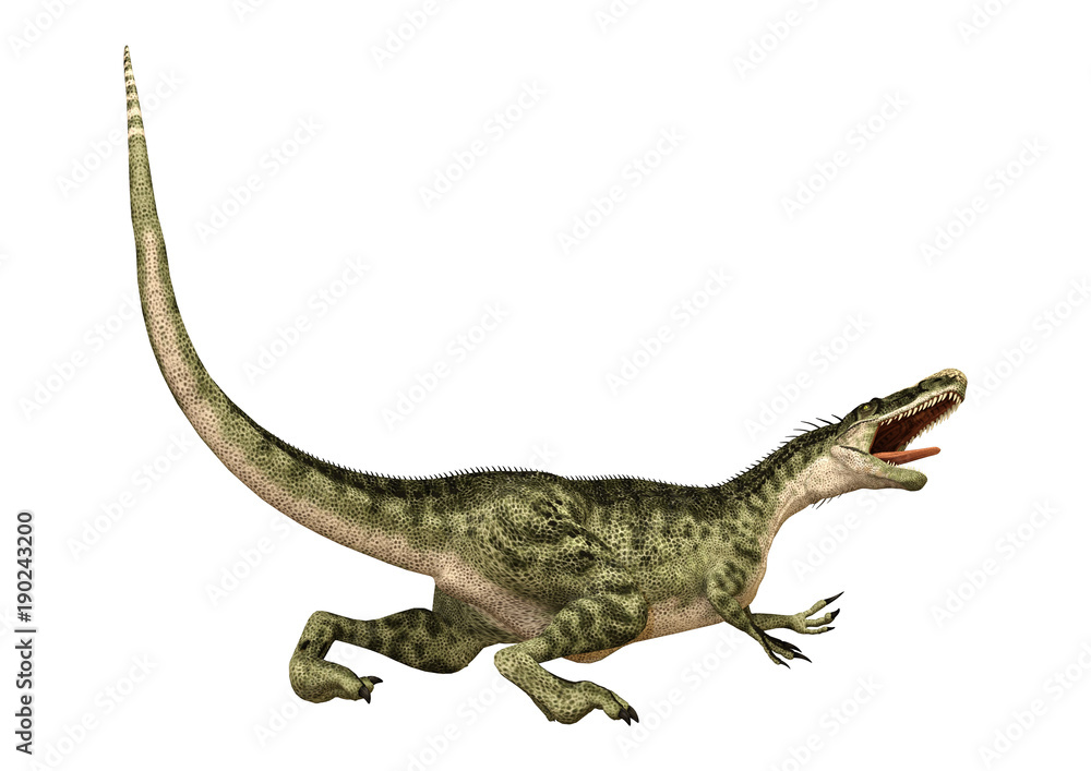3D Rendering Dinosaur Monolophosaurus on White 3D Rendering Dinosaur Monolophosaurus on White