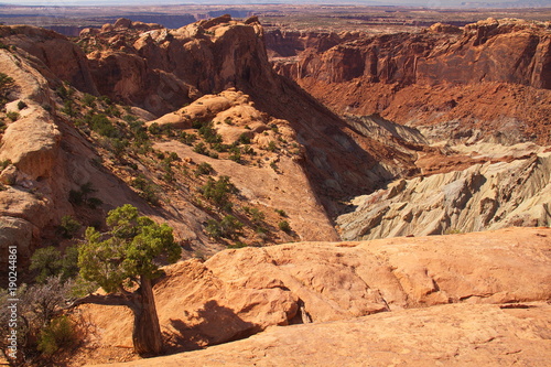Photos Upheaval Dome in Canyonlands NP in Utah in the USA