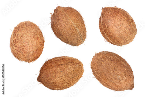 five whole coconut isolated on white background. Flat lay. Top view