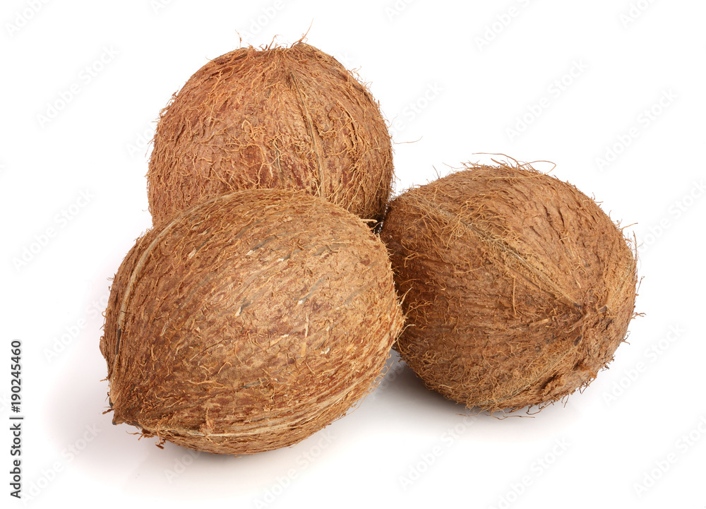 whole coconut isolated on white background whole coconut isolated on white background