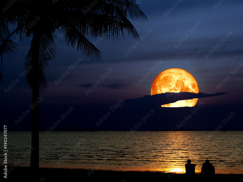 Obraz premium super blue blood moon and silhouette coconut two men look the moon