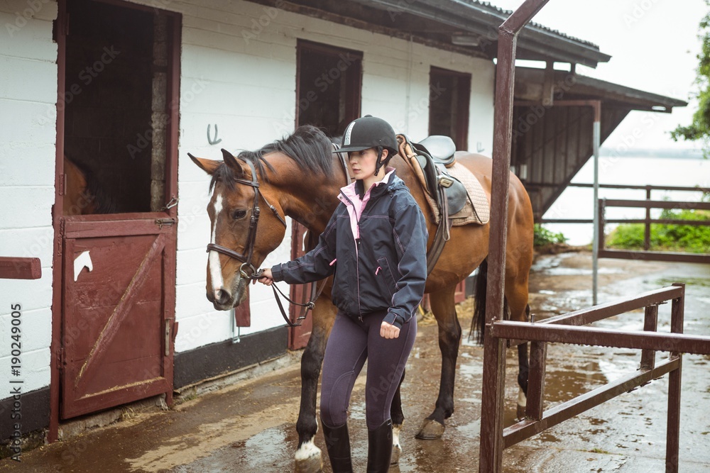 Female rider leading her horse Female rider leading her horse