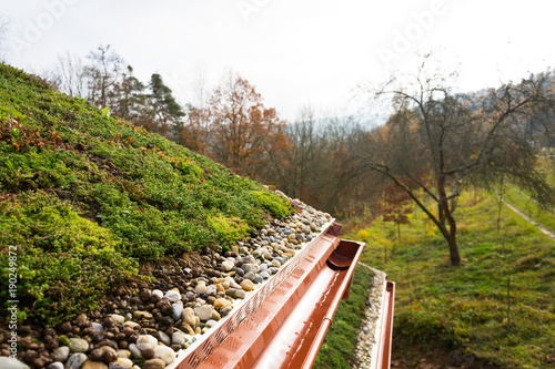 Obraz na plátně Wooden house with extensive green living roof covered with vegetation