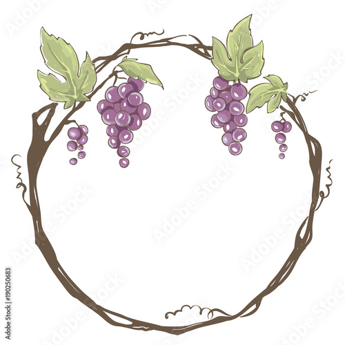 Frame from grapes / Vector illustration, set floral design element