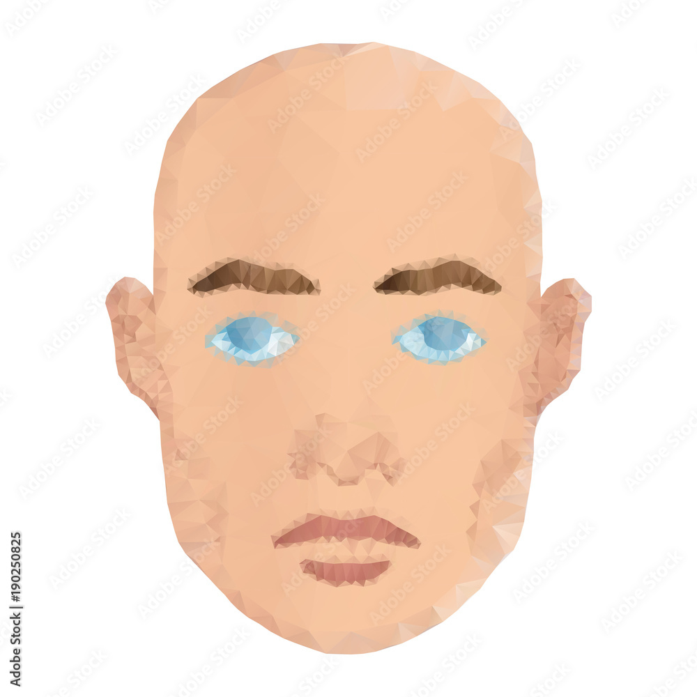 Man face polygon color Man face polygon color