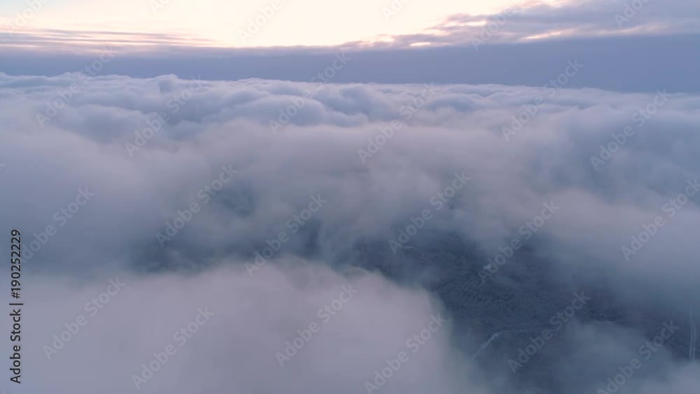 Winter snow covered forest aerial drone video pine tree white woods Belarus fly high above clouds Winter snow covered forest aerial drone video pine tree white woods Belarus fly high above clouds