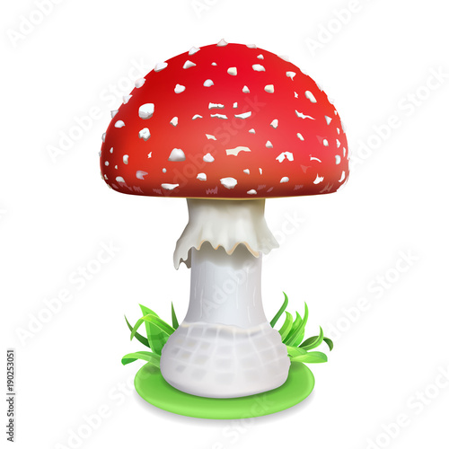 Red fly agaric mushroom. Realistic icon illustration