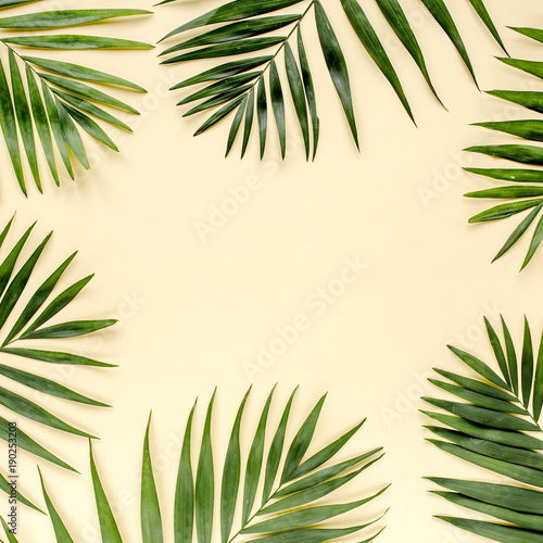 Tropical green leaves palm fronds isolated on yellow background. the apartment lay, top view