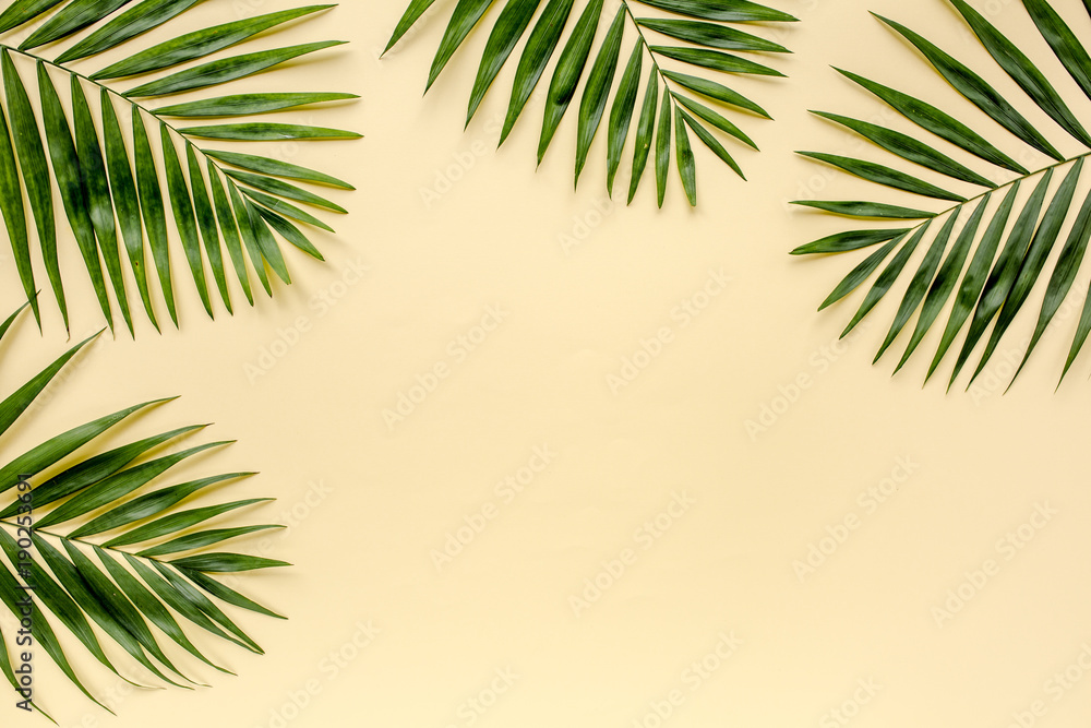 Tropical green palm leaf branches isolated on yellow background. the apartment lay, top view