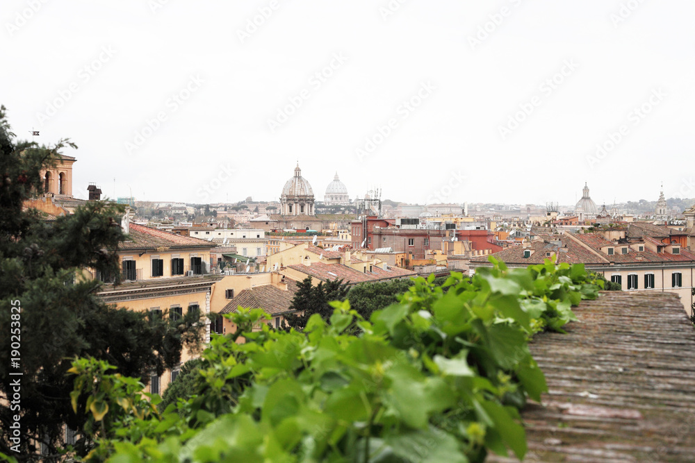 High view of the city in spring, Rome, Italy