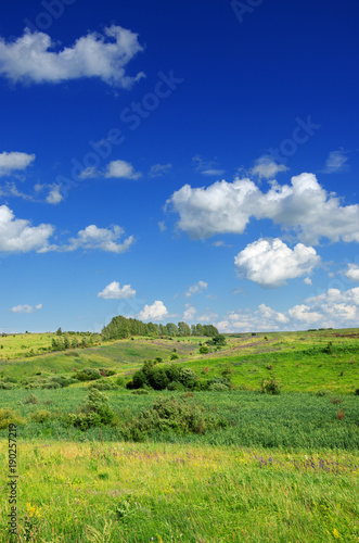 Sunny summer landscape with green hills and growing trees.Blue sky with beautiful clouds over the fields and meadows.