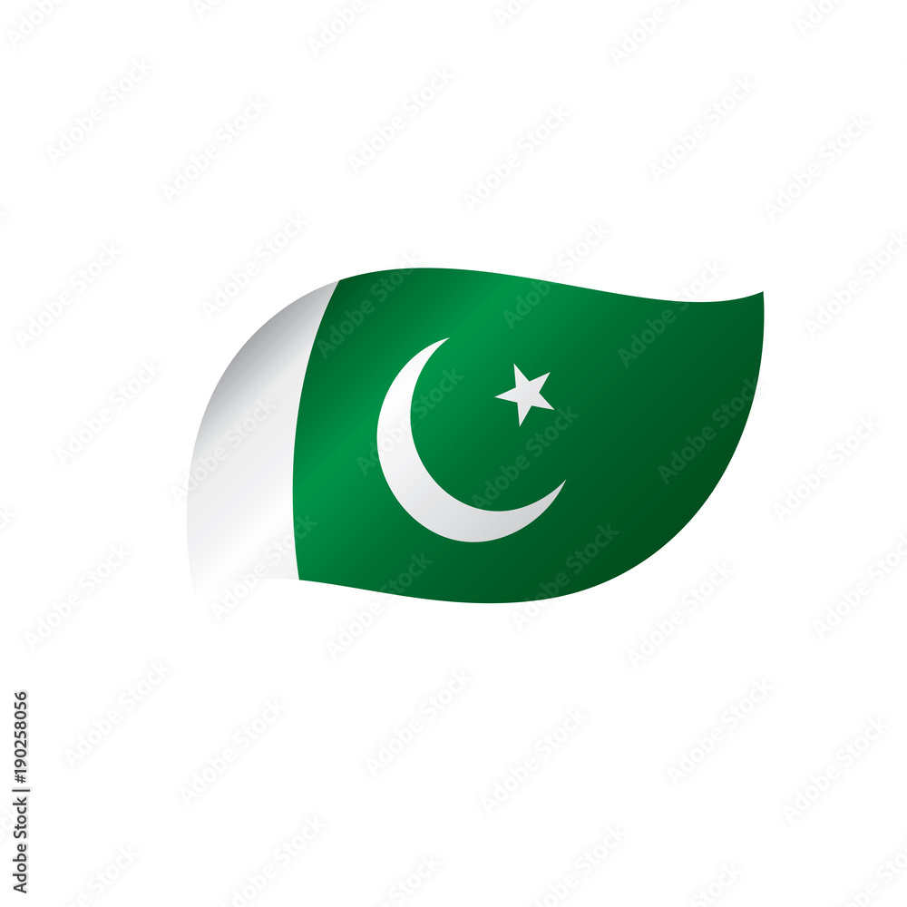 Pakistan flag, vector illustration Pakistan flag, vector illustration