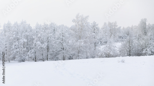 Countryside winter landscape © castenoid