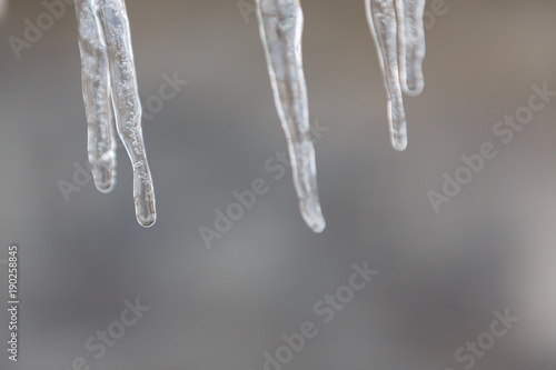 Icicles against the bright background