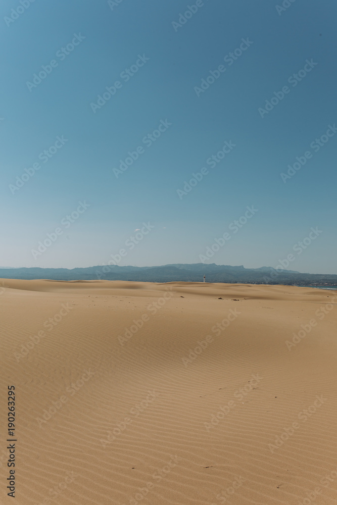 Imagen de paisaje soleado con dunas de arena y mar de fondo en cielo azul capturadas en Delta del Ebro en Cataluña Imagen de paisaje soleado con dunas de arena y mar de fondo en cielo azul capturadas en Delta del Ebro en Cataluña