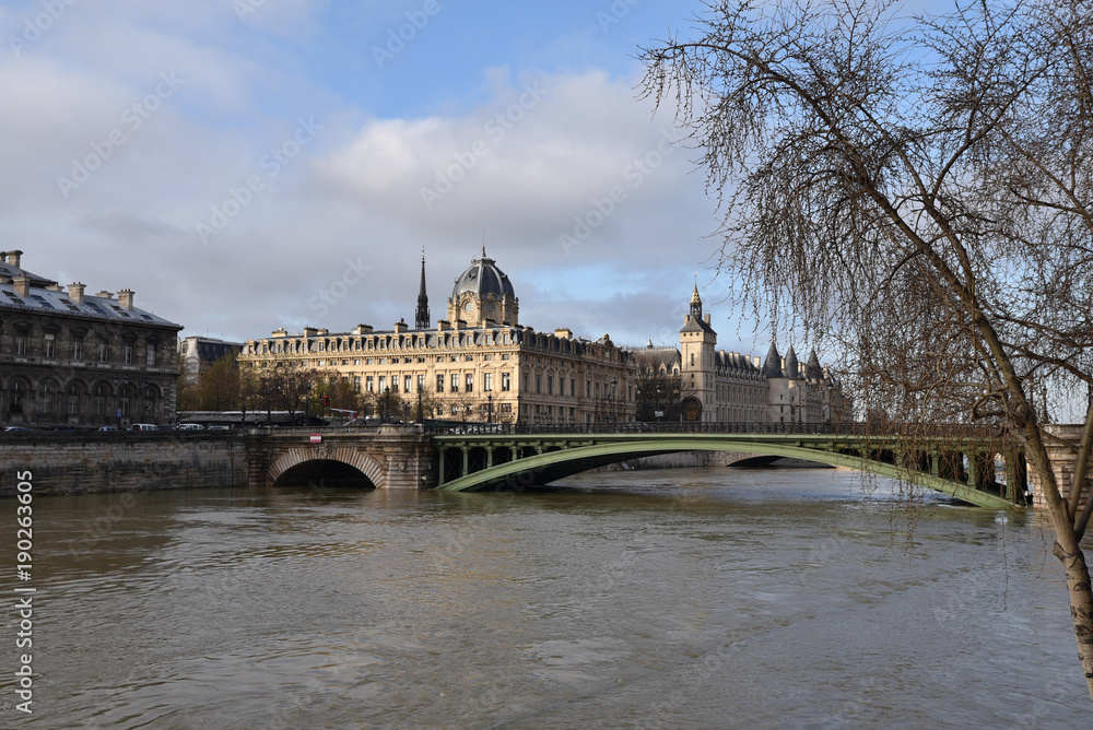 Seine en crue à l'île de la Cité à Paris, France