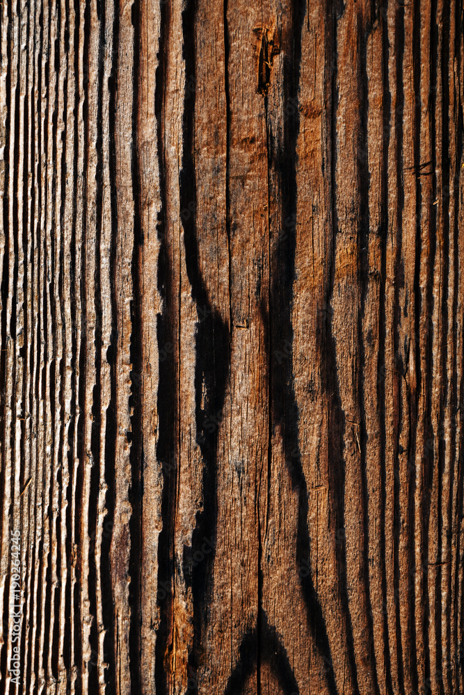 Fototapeta premium old wood background