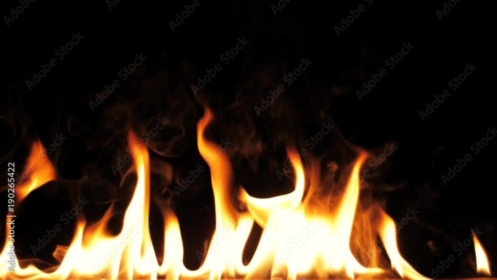 Clean Fire Flames Igniting And Burning - Slow Motion. A line of real flames ignite on a black background. Will look great in any fire or grill project. Real fire. Transparent background. PNG + Alpha Clean Fire Flames Igniting And Burning - Slow Motion. A line of real flames ignite on a black background. Will look great in any fire or grill project. Real fire. Transparent background. PNG + Alpha