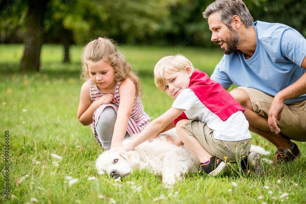 Kinder streicheln einen Hund Stock Photo Adobe Stock