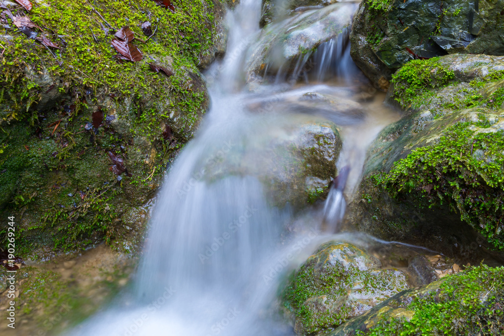 Fototapeta premium Wasserfall