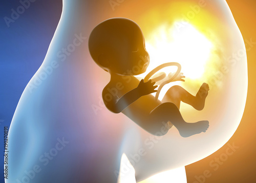 Schilderij op canvas Donna incinta e bambino nell’utero