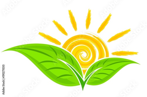 Logo of green plant with sun.