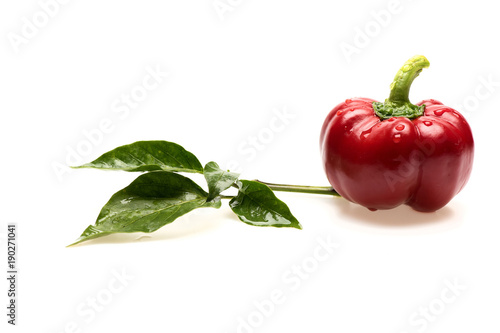 Fotografija Bulgarian pepper with green leaves in close up.