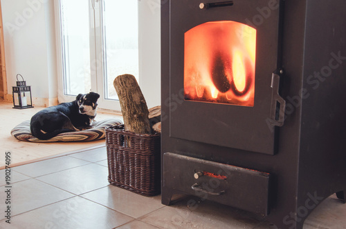 Family Room  With Fireplace And  wood holder basket