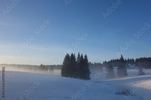 Winter landscape with fir trees © adinamnt