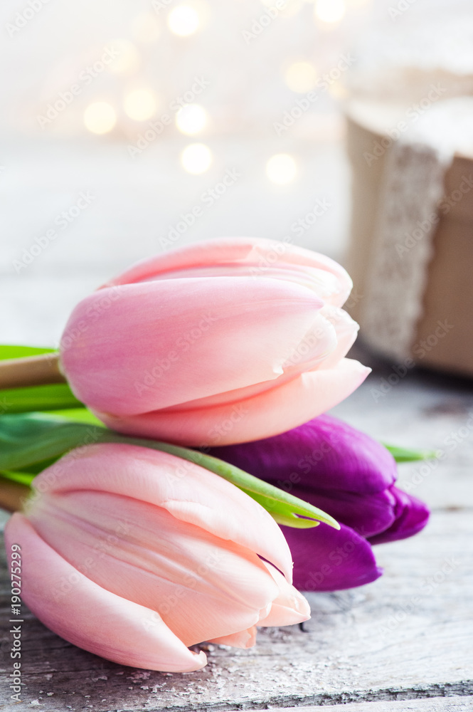 Colorful tulip flower, lights