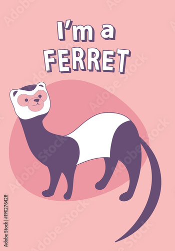 Cute cartoon style ferret with title above, on colorful background