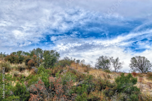 Beautiful clouds on hike to top of hillside