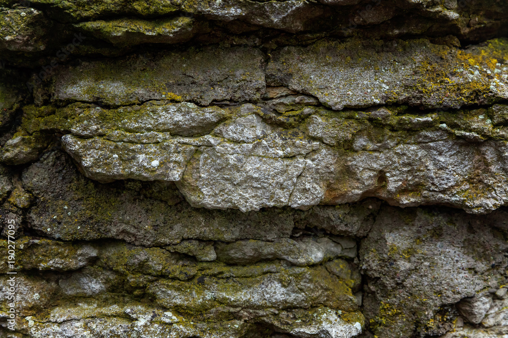 Stones covered with moss. Old wall of the building. Green moss