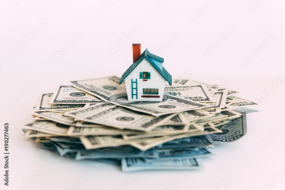 Piggy moneybox with dollar cash closeup. Financial concept Piggy moneybox with dollar cash closeup. Financial concept