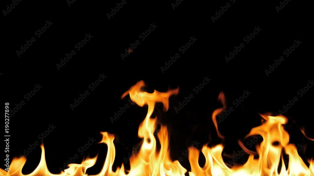 Fire Flames Igniting And Burning - Slow Motion. A line of real flames ignite on a black background. Will look great in any fire or grill project. Real fire. Transparent background. PNG + Alpha Fire Flames Igniting And Burning - Slow Motion. A line of real flames ignite on a black background. Will look great in any fire or grill project. Real fire. Transparent background. PNG + Alpha