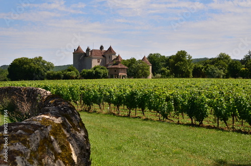 VIGNE ET CHÂTEAU LAGREZETTE CAILLAC LOT FRANCE