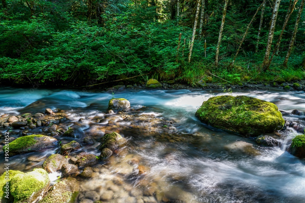 The clear and cold waters of the Zig Zag River in Rhodedendron Oregon. The clear and cold waters of the Zig Zag River in Rhodedendron Oregon.