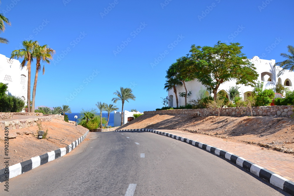 A downward road to the red sea through palm trees and houses on the blue sky