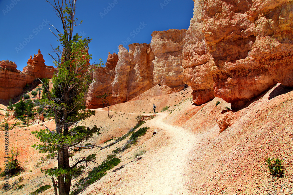 Hiking along the china wall in Bryce Canyon National Park Hiking along the china wall in Bryce Canyon National Park