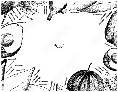 Hand Drawn Frame of Fresh Fruits on White Background