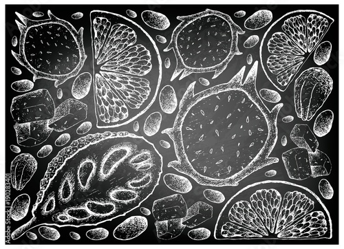 Hand Drawn of Jackfruit, Dragon Fruit and Grapefruit on Chalkboard