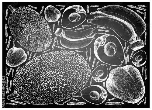 Hand Drawn of Pomerac, Jackfruit and Banana on Chalkboard photo